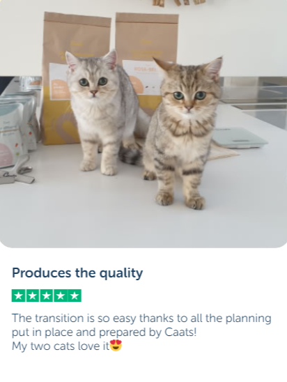 Cat food review